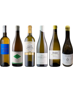 Španělské bílé víno Premium Degustační Balíček