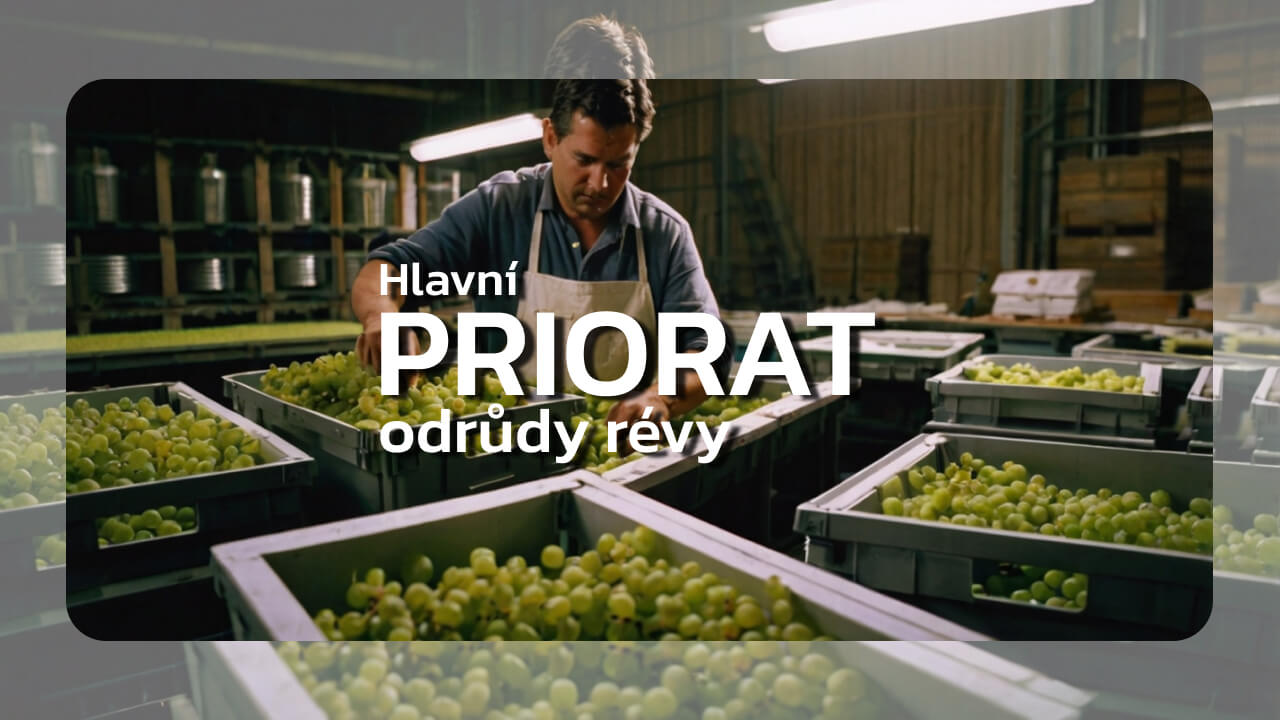Hlavní odrůdy révy v Prioratu