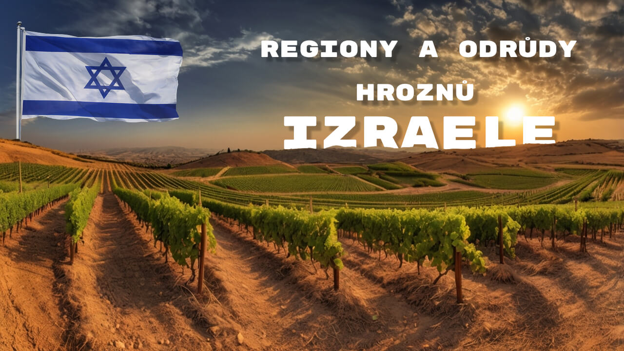 Regiony a odrůdy hroznů Izraele