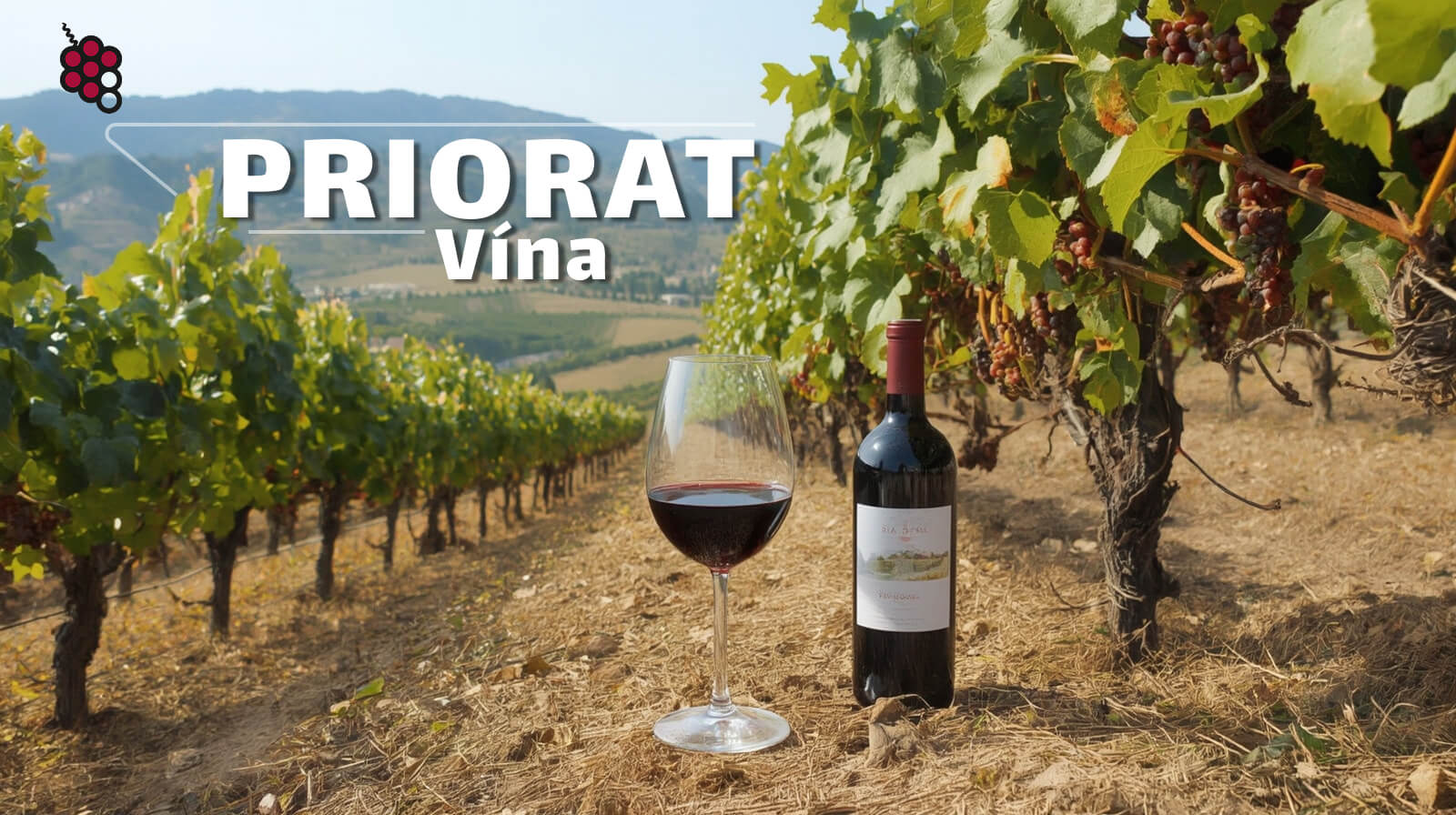 Vína Priorat: Od starobylé klášterní tradice k modernímu obrození